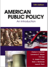 Image of EBOOK American Public Policy an Introduction