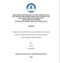 Image of PERAN DINAS KOPERASI DAN USAHA MIKRO, KECIL, DAN MENENGAH (UMKM) KABUPATEN PANDEGLANG DALAM PELAKSANAAN KEBIJAKAN PENGEMBANGAN UMKM (STUDI KASUS DI KECAMATAN PANDEGLANG)